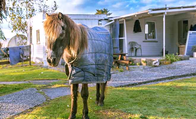 Il suffit de prévoir des cirés et vous pourrez visiter Hokitika sans soucis.