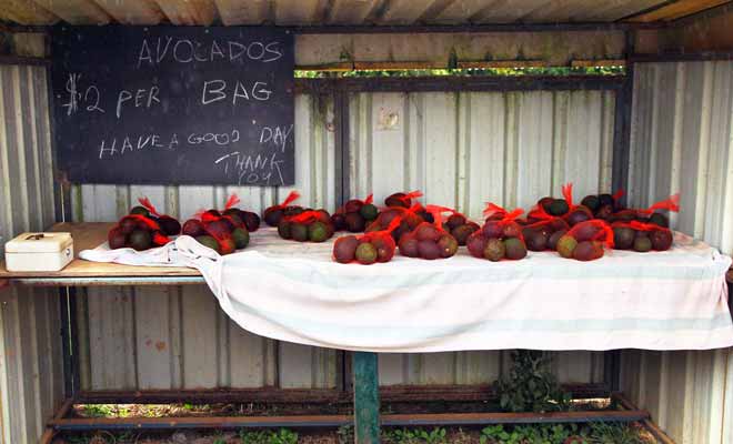 On trouve des Honesty boxes dans tout le pays, mais surtout dans les régions ou l'on produit des fruits et légumes. Ce sont en général des produits de petits producteurs et les tarifs sont très raisonnables.