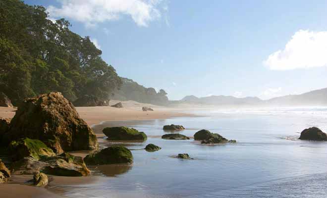 La plage de Hot Water Beach est suffisamment vaste pour que vous puissiez chercher longtemps sans trouver. Mais la source se trouve près des affleurements rocheux.
