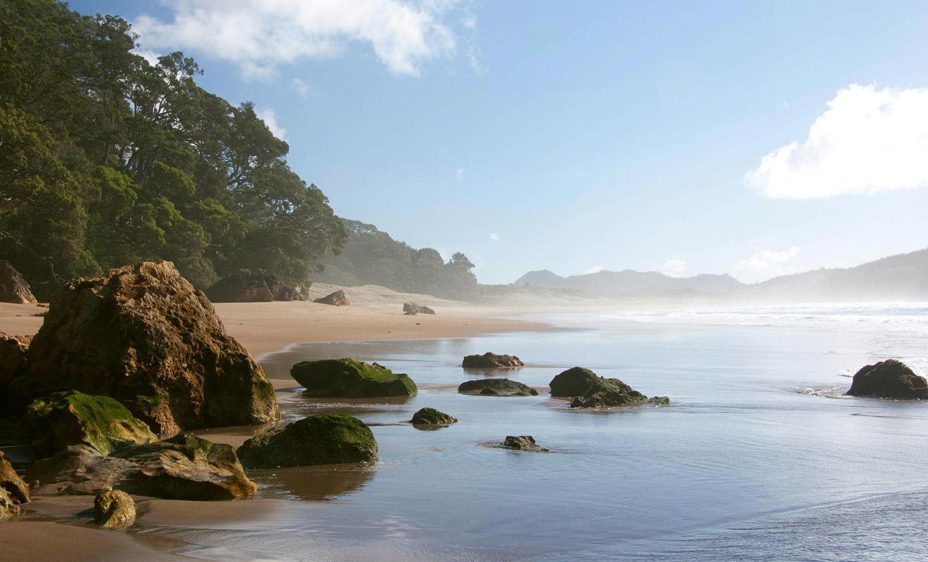 La plage de Hot Water Beach est suffisamment vaste pour que vous puissiez chercher longtemps sans trouver. Mais la source se trouve près des affleurements rocheux.