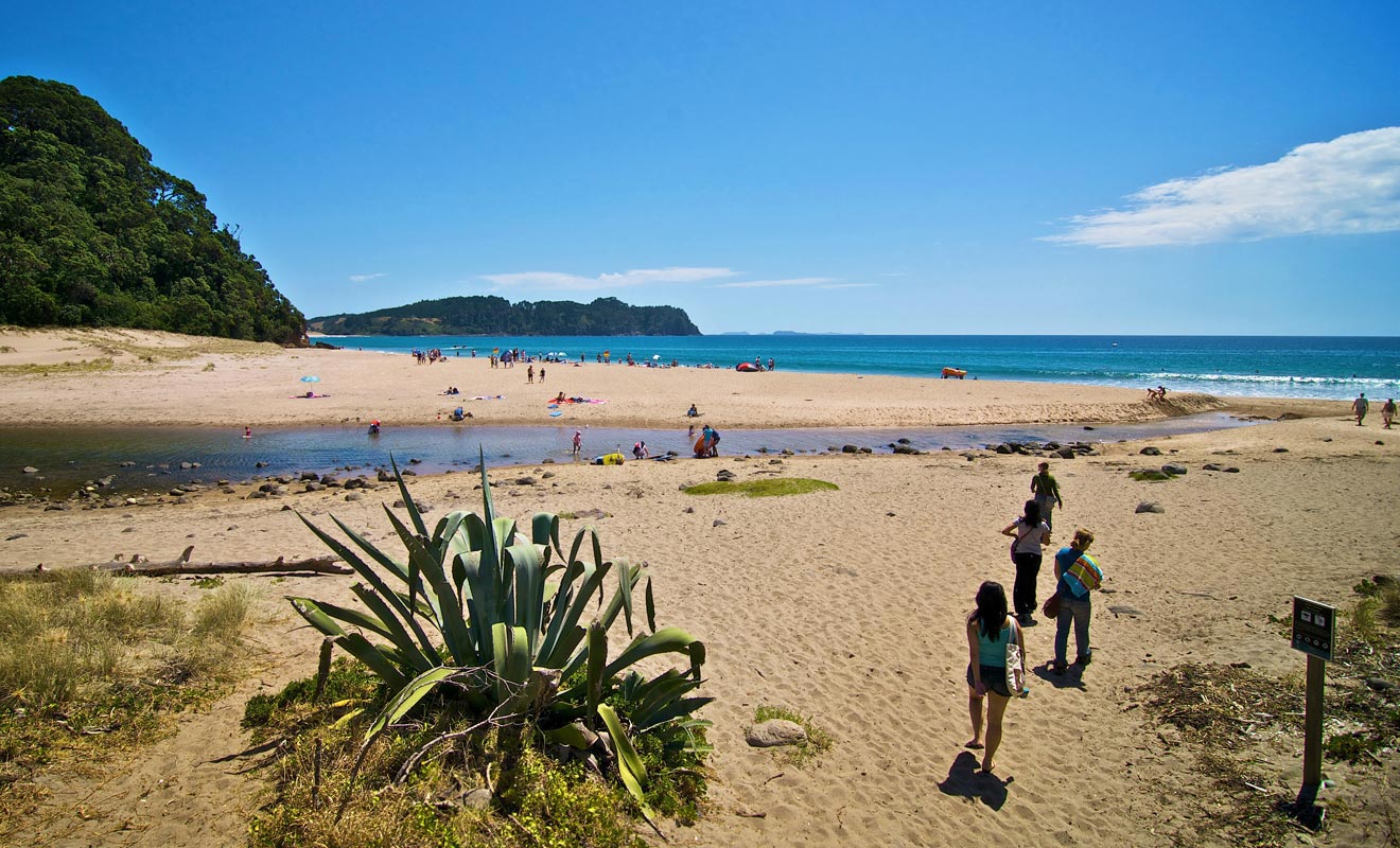 Si l'activité géothermique s'est peu à peu éteinte dans la région, il reste quelques vestiges d'autrefois. La plage de Hot Water Beach en est le parfait exemple.