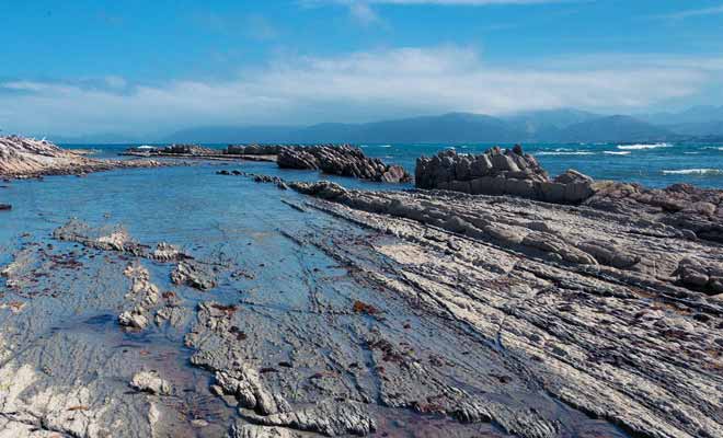 Le tremblement de terre a fait surgir des terres de l'océan, mettant à jour des fonds marins.