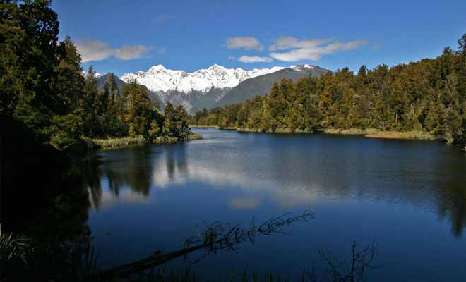 Les anguilles géantes du lac Matheson se cachent sous la surface, mais vous avez de bonnes chances de les apercevoir en vous approchant de la rive.