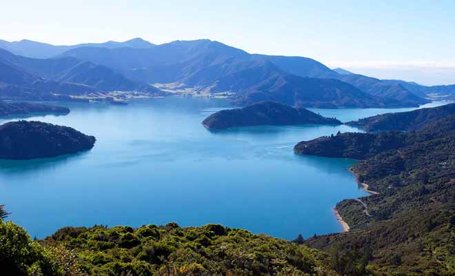 Le Queen Charlotte Track est une grande randonnée qui s'effectue sur 3 à 5 jours et longe les Sounds du Marlborough.