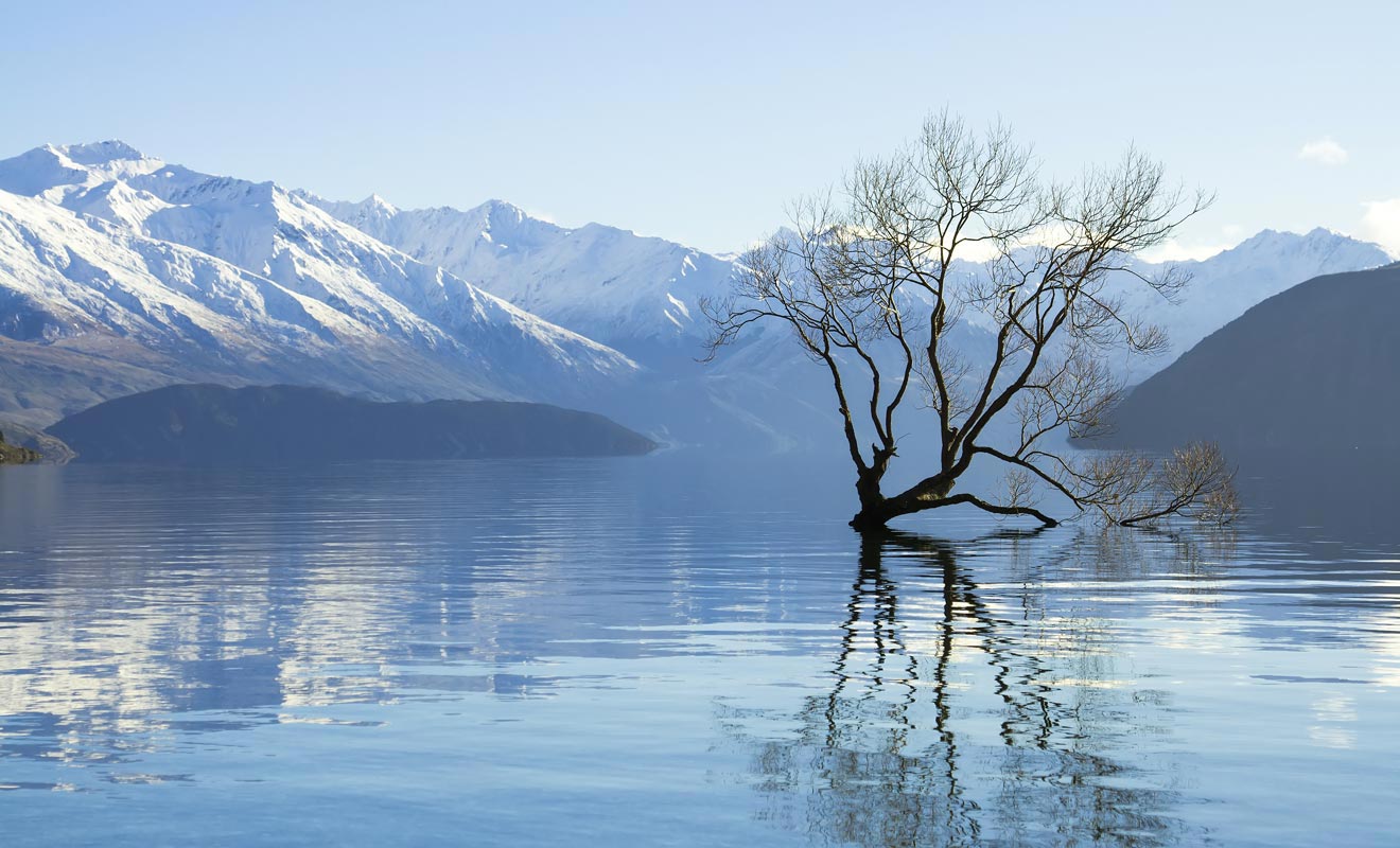 Quand partir en NouvelleZélande ? Guide des saisons