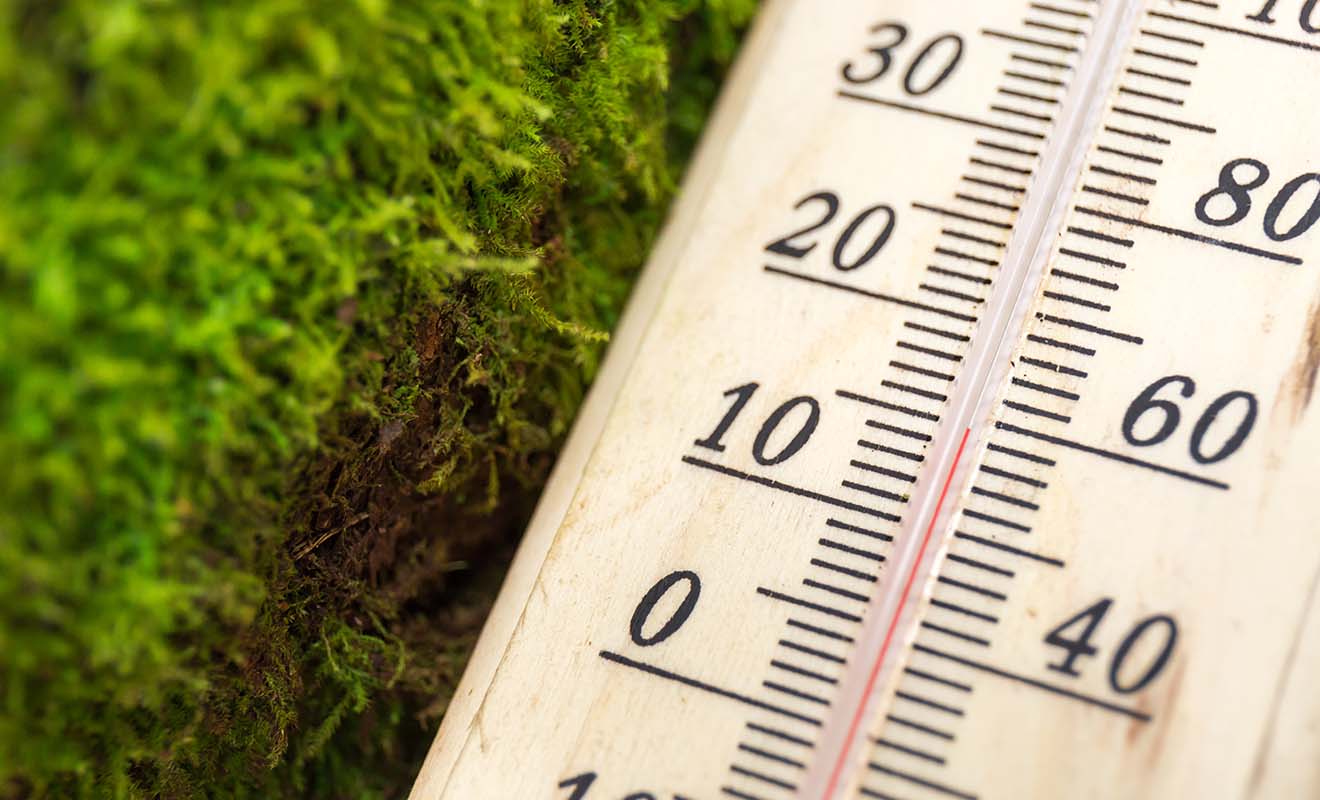 La météo est assez clémente durant les mois de l'hiver néo-zélandais, et même s'il faudra bien vous couvrir, ce n'est pas non plus le pôle sud.