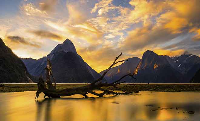 Il n'existe qu'un seul hébergement à proximité du Milford Sound.