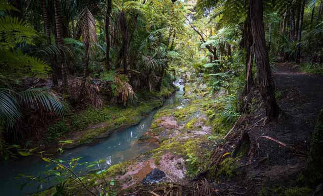 Avec une densité de population proche de zéro, le Fiordland est une région humide recouverte de forêts impénétrables.