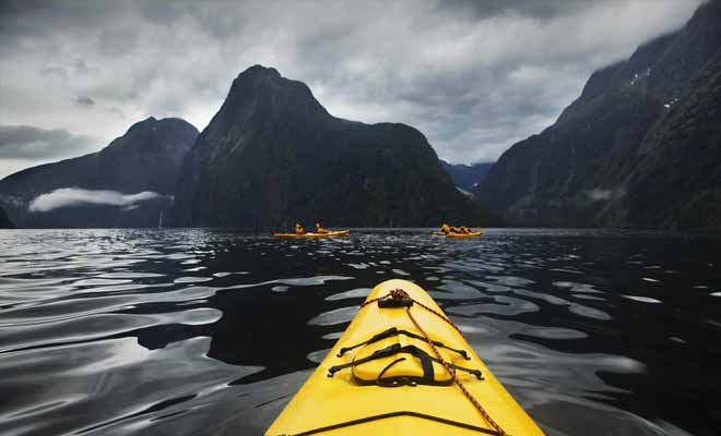 Durant la basse saison, les fjords retrouvent leur calme originel, enfin débarrassé des hordes de touristes. L'occasion parfaite pour partir à la rencontre des otaries à bord d'un kayak.