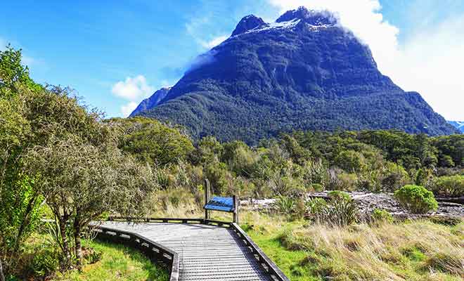 Milford Sound Lookout Track est un sentier qui commence près d'un parking.