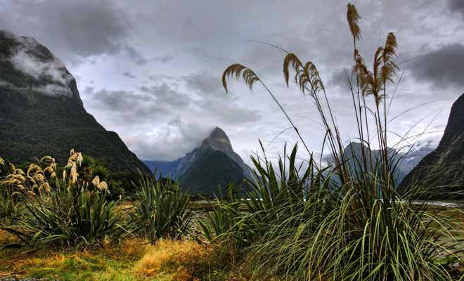 Si l'on excepte le Milford Sound, la population du Fiordland est proche de zéro. La pluviométrie extraordinaire et la végétation dense qui pousse sur des montagnes abruptes compliquent l'accès au parc. La beauté du paysage a de quoi laisser rêveur n'importe quel visiteur.