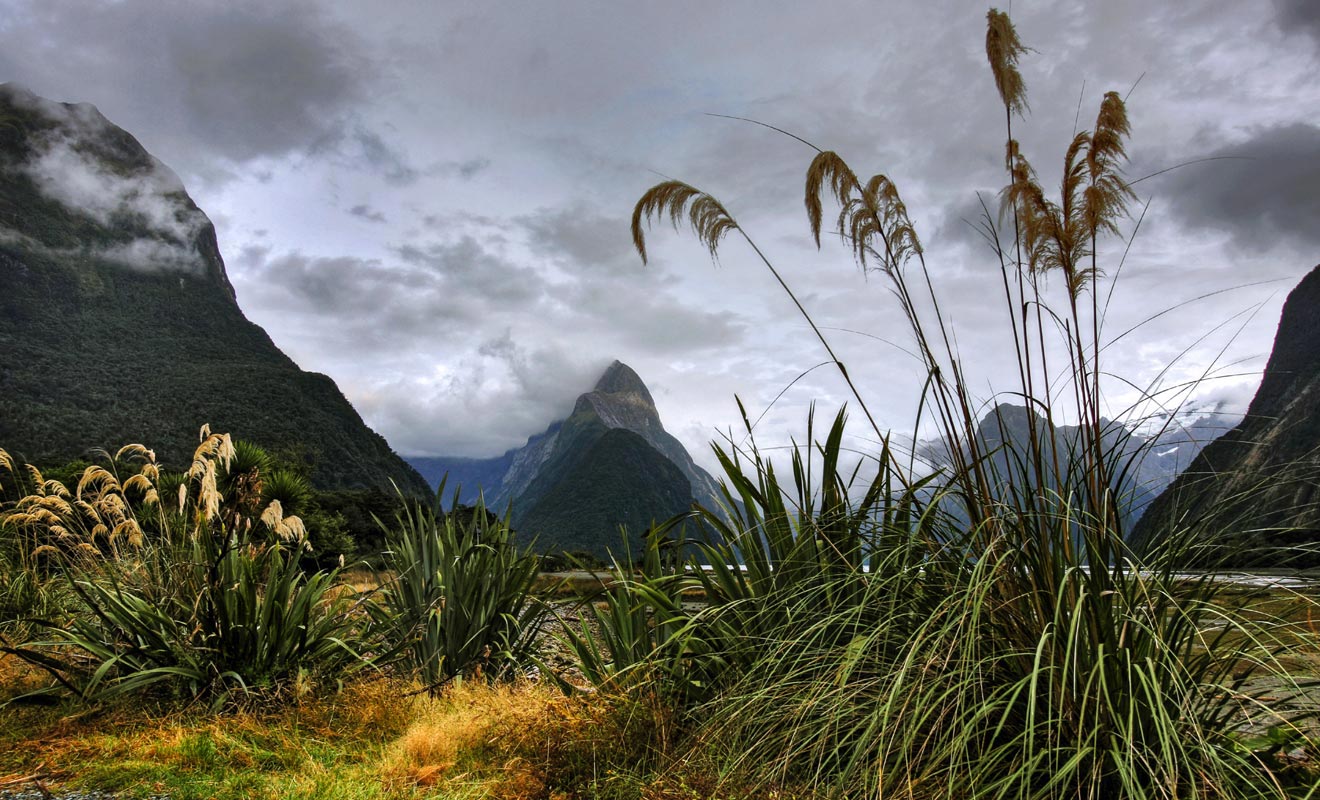 Si l'on excepte le Milford Sound, la population du Fiordland est proche de zéro. La pluviométrie extraordinaire et la végétation dense qui pousse sur des montagnes abruptes compliquent l'accès au parc. La beauté du paysage a de quoi laisser rêveur n'importe quel visiteur.