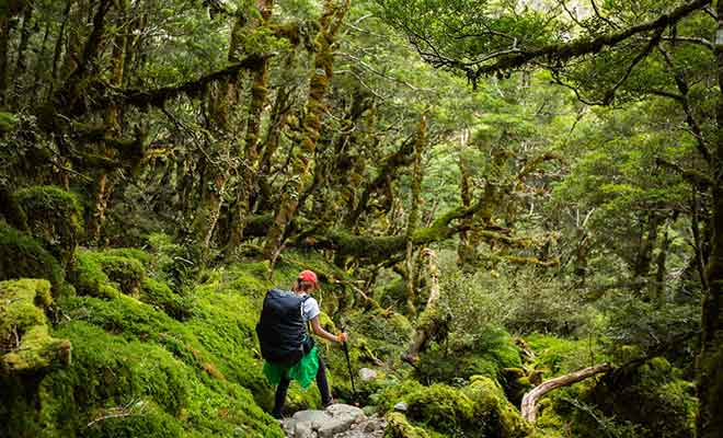 Ne vous lancez pas dans le Milford Track sans un minimum d'entraînement et sans équipement.