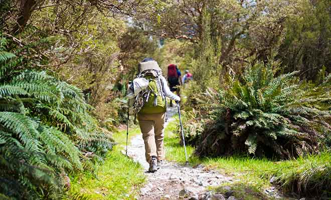 Avec Routeburn Track, le Milford Track permet de rejoindre le fjord.
