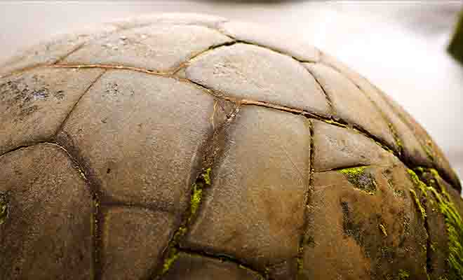 Certains boulders ressemblent à des ballons de football ou à un oeuf prêt à éclore...