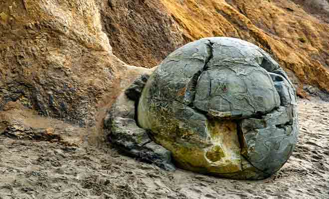 Plus la falaise s'effrite avec le temps et plus l'on voit surgir de nouveaux boulders.