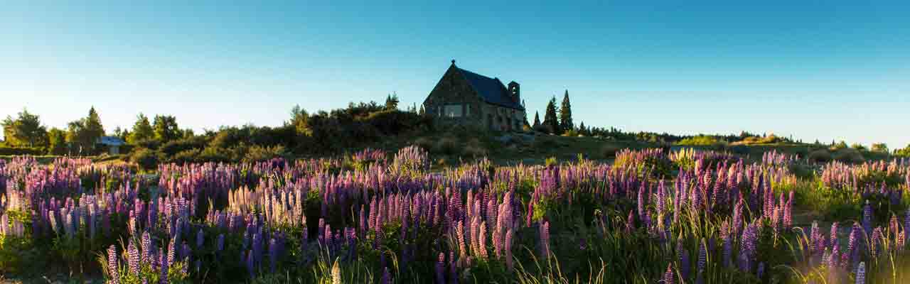 L'église du bon berger sur la route du mont Cook.