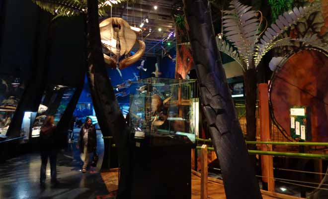 Le Te Papa possède plusieurs étages et chacun d'entre eux couvre un thème particulier en rapport avec l'Histoire de la Nouvelle-Zélande. Des expositions temporaires sont également organisées autour de sujets très variés.