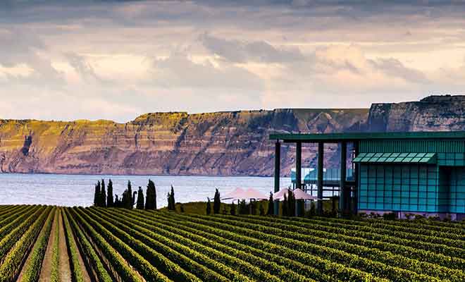 Avec une première vendange en 2003, Elephant Hill a su s'imposer rapidement comme l'un des tout premiers vignobles de la baie de Hawkes.