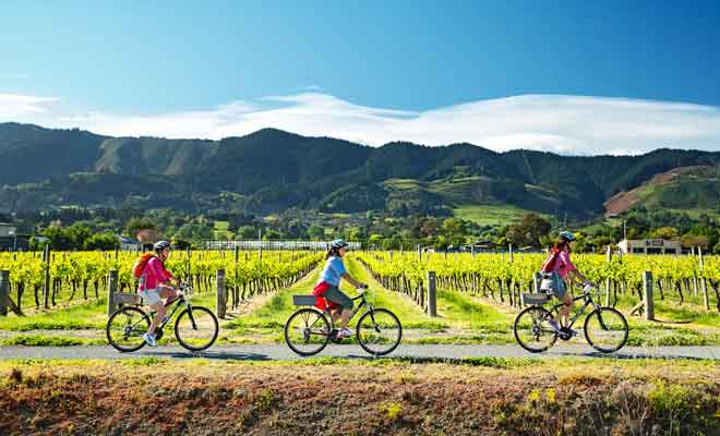 Nelson ne peut rivaliser avec le Marlborough mais possède tout de même de très beaux vignobles.