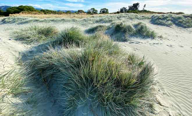 Tahuna beach possède quelques restaurants et des hébergement derrière les dunes, mais il n'y a pas de front de mer à proprement parler.