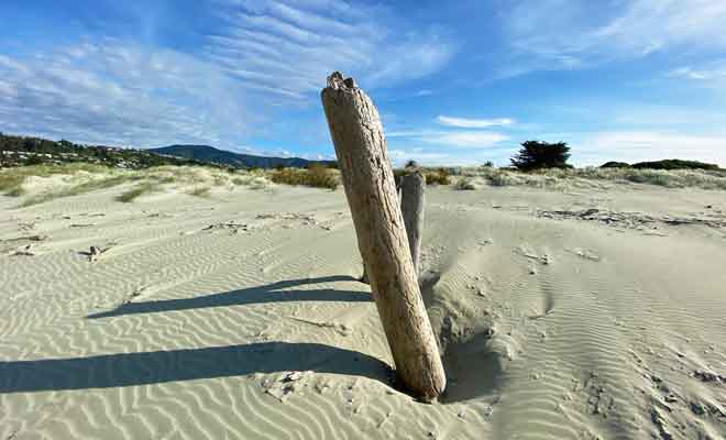 La plage de Tahunanui Beach n'existait pas il y a un siècle et elle s'est formée naturellement.