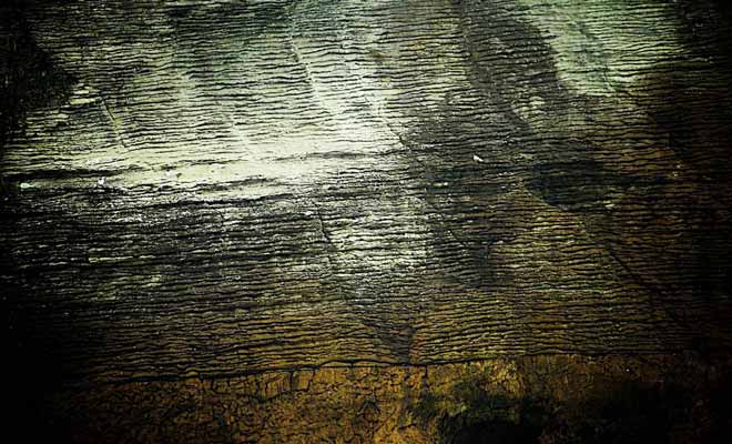 La couche la plus ancienne remonte à 33 millions d'années. À cette époque a eu lieu la deuxième grande extinction de masse depuis la fin des dinosaures.