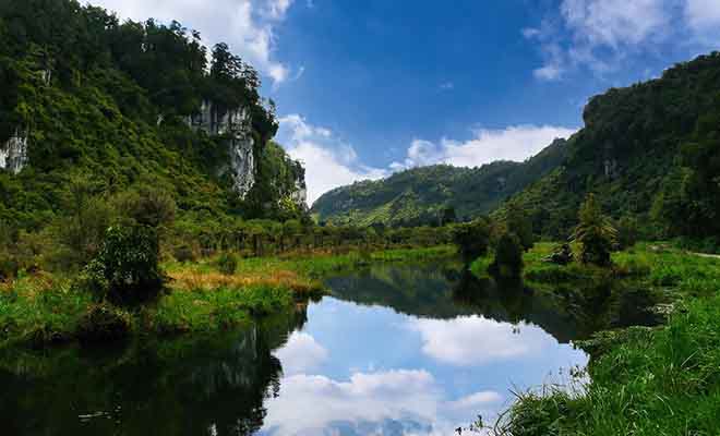 Avec 380 km2 de forêt vierge, le parc national de Paparoa est encore méconnu du grand public. Pourtant, les excursions en canoë ou à cheval permettent de découvrir une nature sauvage.