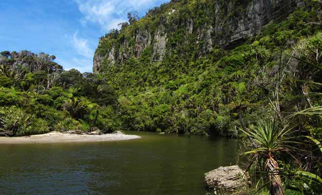 Le parc National de Paparoa présente en soit beaucoup plus d'intérêt que les Pancake Rocks, mais il demeure encore inconnu de la majorité des voyageurs. Son paysage évoque aussitôt le film Jurrasic Park.