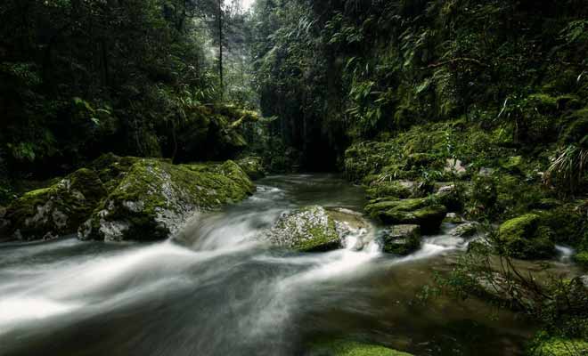 Le parc national de Paparoa peut se visiter sans guide. Il faut cependant demander des cartes récentes au centre d'information, car le tracé des sentiers est souvent modifié.