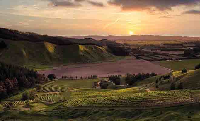 La région de Gisborne n'est pas la plus touristique du pays, mais elle possède d'excellents vignobles qui peuvent justifier un détour durant votre séjour.