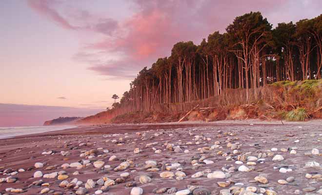 Les plages de la West Coast sont désertes et jonchées de galets. La force du courant et les débris qui jonchent la plage ne sont pas parfaits pour se baigner.