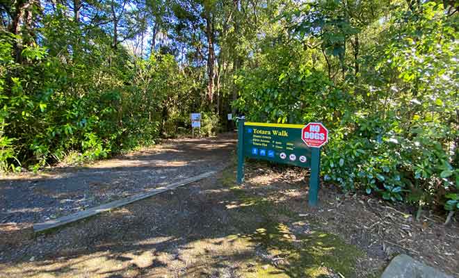 Le sentier en forêt longe la rivière pour rejoindre un second camping.
