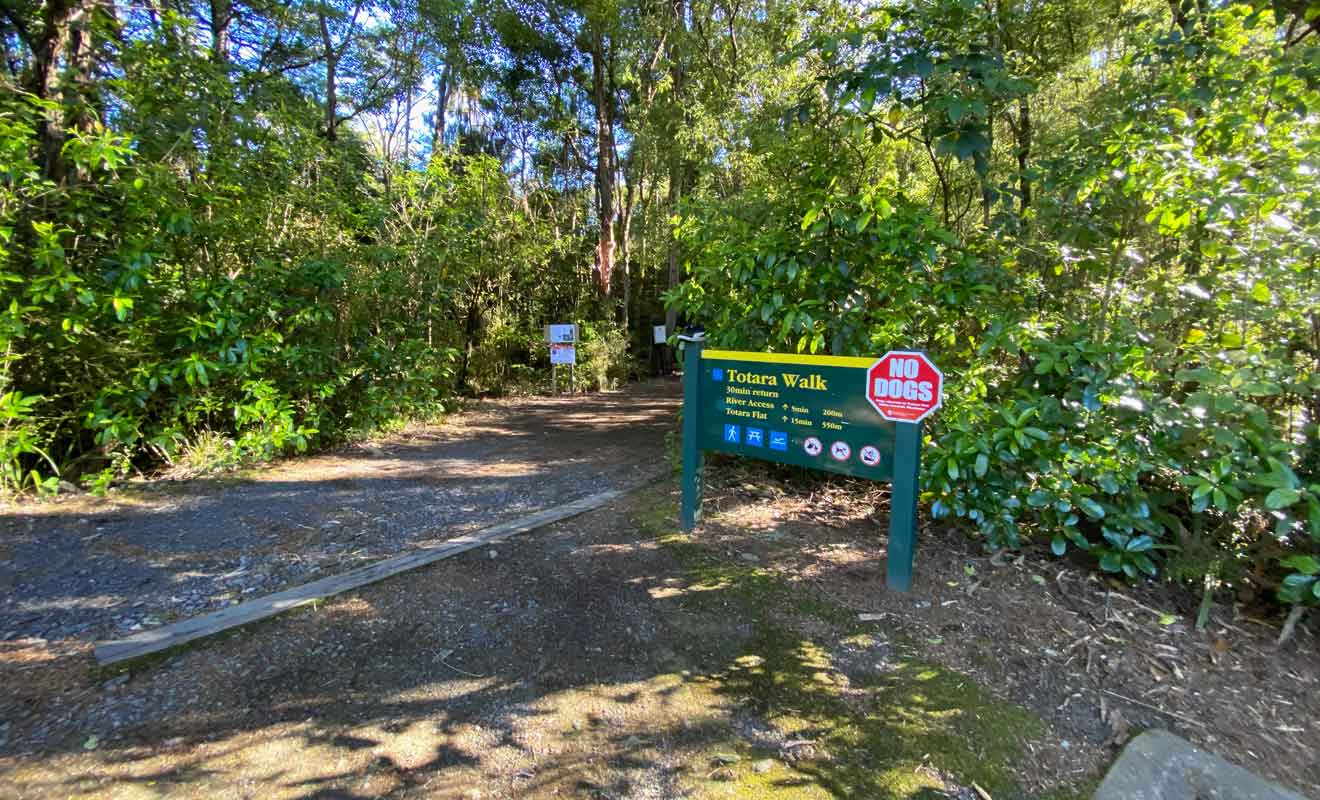Le sentier en forêt longe la rivière pour rejoindre un second camping.