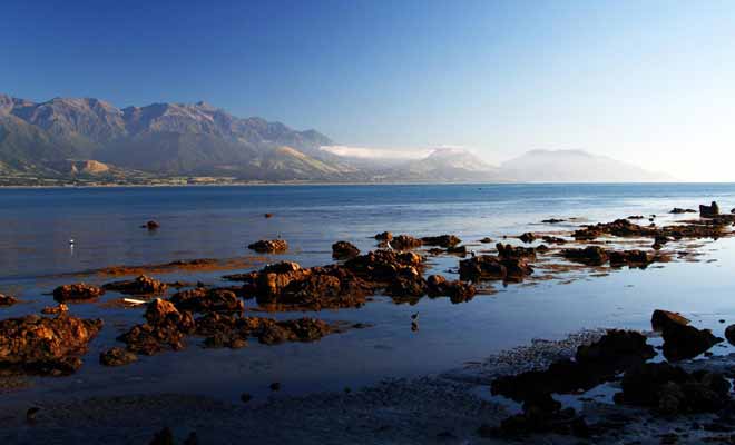 L'aube est un moment privilégie pour photographier la péninsule de Kaikoura.