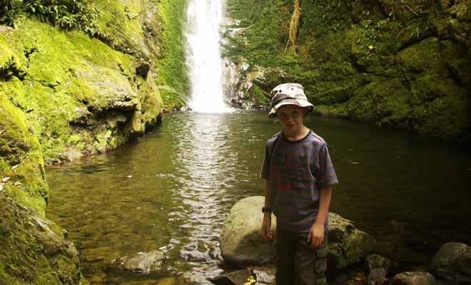 Pour vous rendre à la nurserie des otaries, cherchez la rivière « Ohau Stream » sur la carte. Le sentier qui suit une voie de chemin de fer mène en forêt avant de rejoindre la cascade. Les otaries sont présentes presque toute l'année.