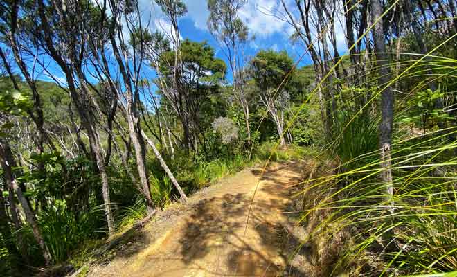 Les Maoris préféraient porter leurs pirogues à travers les collines plutôt que d'affronter la navigation dans la région.