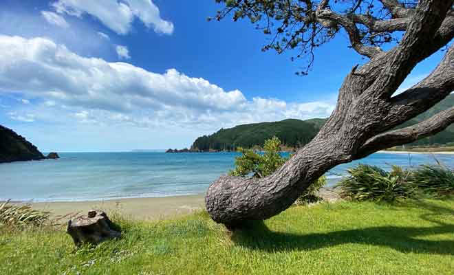Le vent ne souffle pas en continu et la plage est propice au pique-nique.