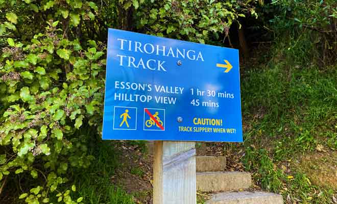 La randonnée de Tirohanga Track débute dans Newgate Street.
