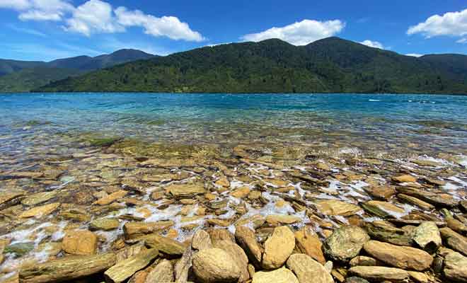Les plages du Queen Charlotte Track figurent parmi les plus belles de Nouvelle-Zélande.