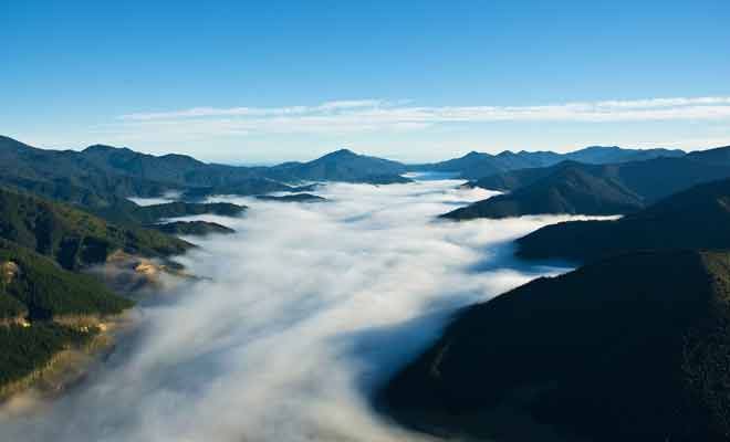 Certaines parties du Queen Charlotte Track sont difficiles, comparativement à Abel Tasman qui conviendra aux débutants.
