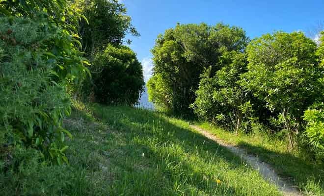 S'il est possible d'apercevoir un peu le paysage entre les arbres durant la montée, seul le sommet offre une vue véritablement dégagée sur la région.