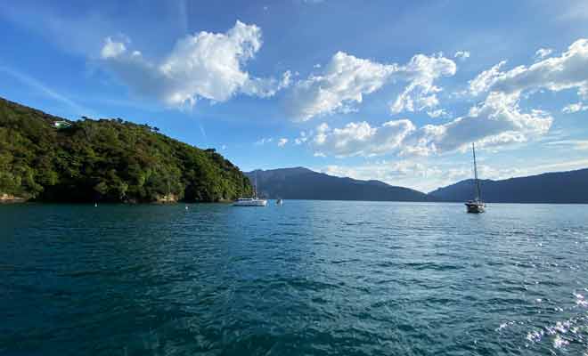 Le trajet entre Picton et Ship Cove n'est pas vraiment une croisière, mais vous pouvez tout de même profiter du paysage.
