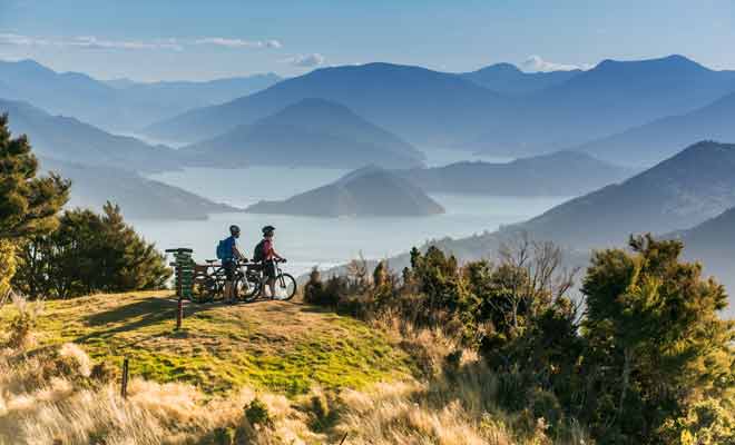 Victoria Domain possède 20 km de sentiers adaptés aux VTT, mais le Queen Charlotte Track peut aussi être réalisé en vélo.