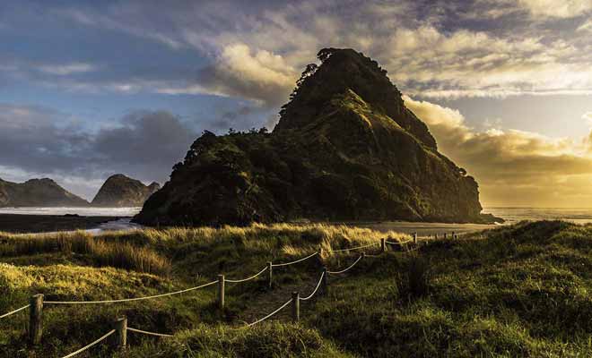La plage de Piha a servi de lieu de tournage pour le film de Jane Campion, la leçon de piano. Mais c'est avant tout une plage avec de belles vagues qui attirent les surfeurs.