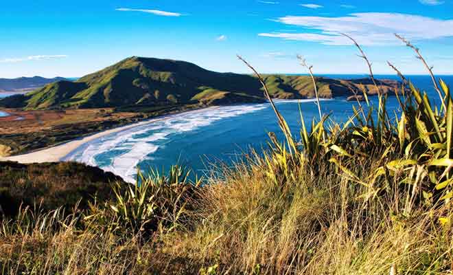 Allans beach est une plage de surfeur très réputé qui se trouve à proximité de Dunedin sur l'Île du Sud de la Nouvelle-Zélande. Même si vous ne surfez pas, le paysage mérite a lui seul le déplacement !