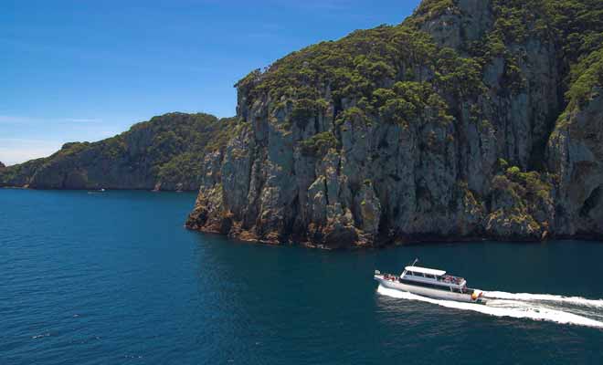Les Poor Knight Islands se trouvent au large de la Bay of Plenty au Nord de la Nouvelle-Zelande. Il faut environ une heure de bateau pour rejoindre l'archipel.