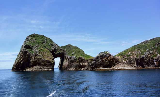 Les Poor Knight Islands offrent les meilleurs emplacements de plongée de Nouvelle-Zélande, avec de nombreuses grottes marines à explorer.