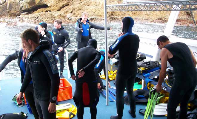 La compagnie qui organise la sortie vous fournira tout le matériel nécessaire et vous n'aurez besoin d'apporter que votre maillot de bain et une serviette de plage.