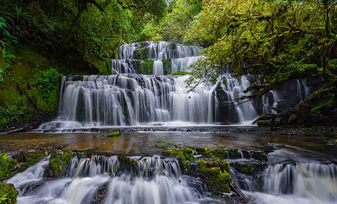 Dans des régions où il tombe plus de sept mètres de pluie chaque année, les rivières engendrent des cascades spectaculaires comme celles des Purakaunui falls.